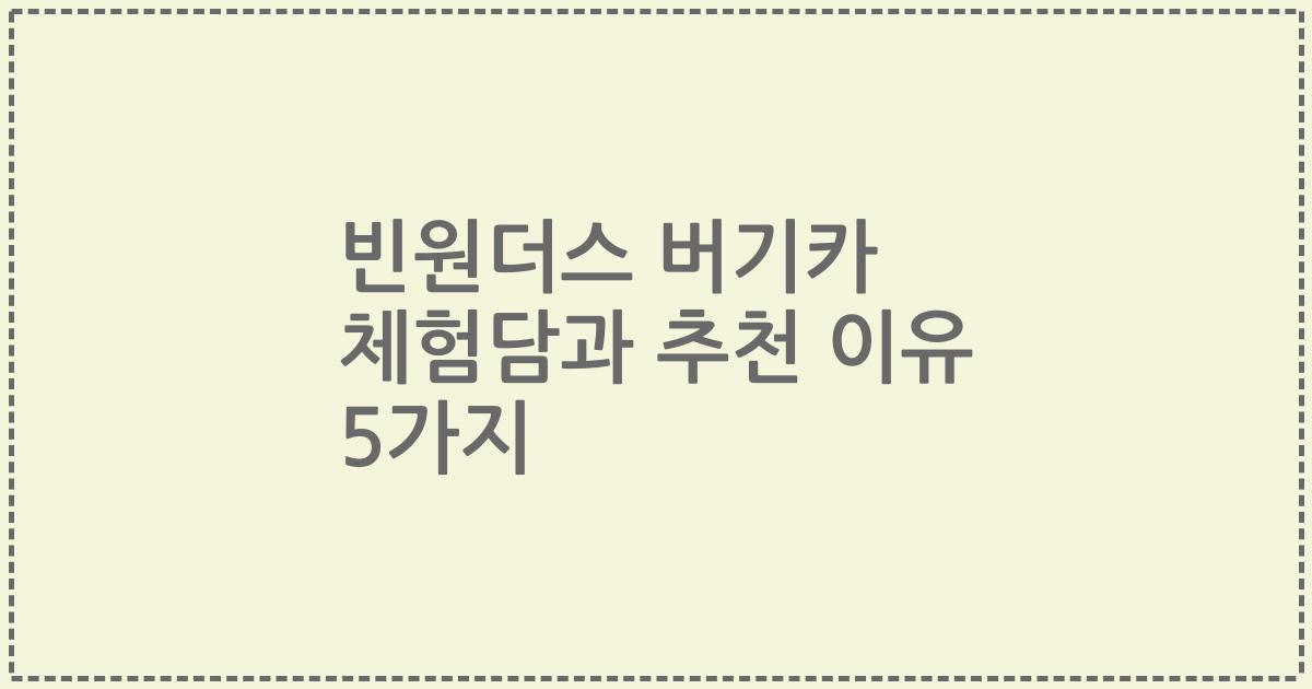 빈원더스 버기카 체험담과 추천 이유 5가지